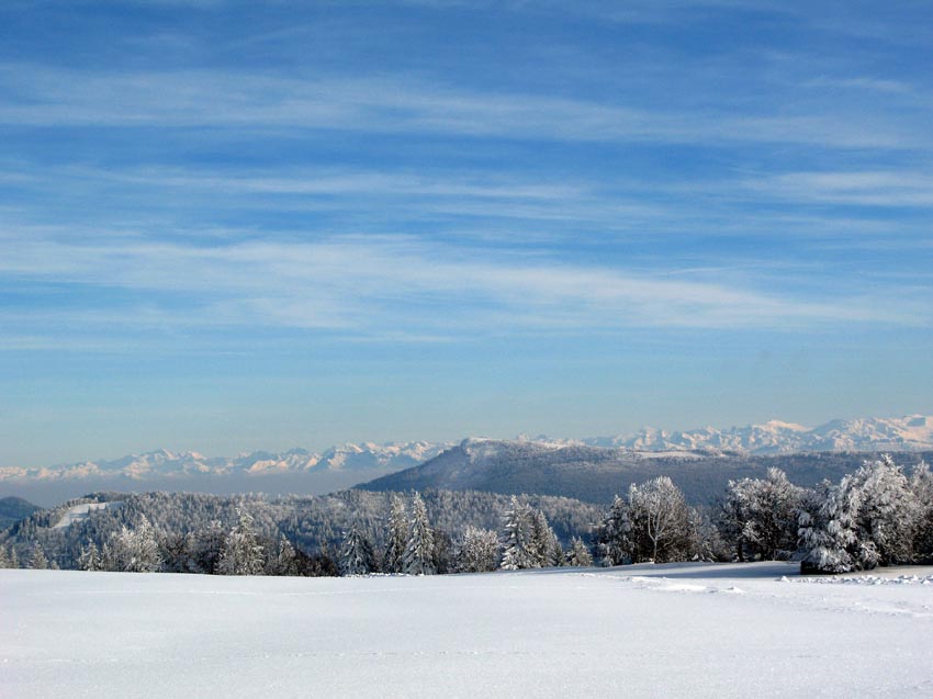45 Blick vom Raimeux in die Berneralpen
