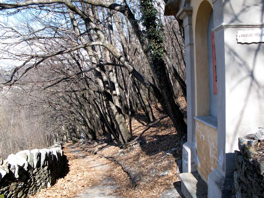44 Treppenfahren auf dem Bussweg