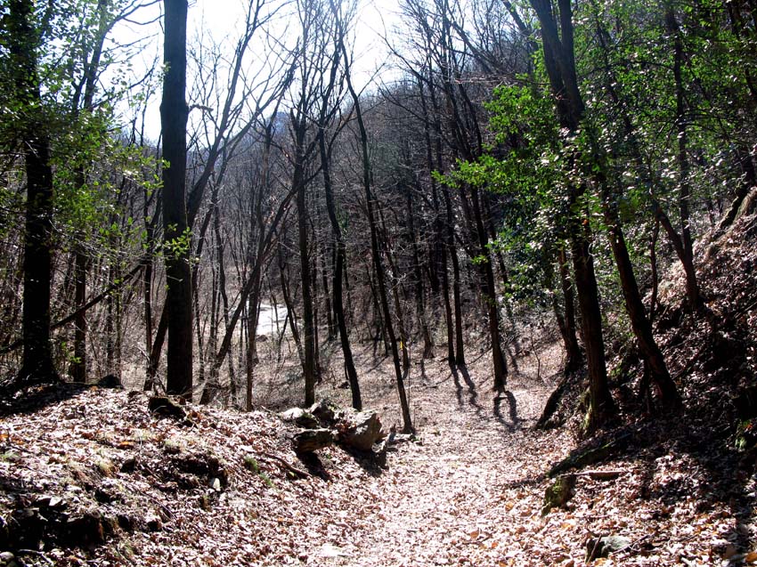47 und jetzt ein schoener Trail von Dumenza