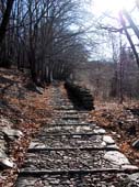 45 und immer noch Treppen