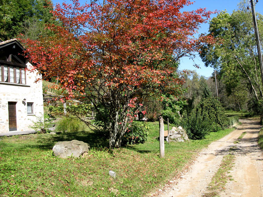 39 zur Ponte di Vello