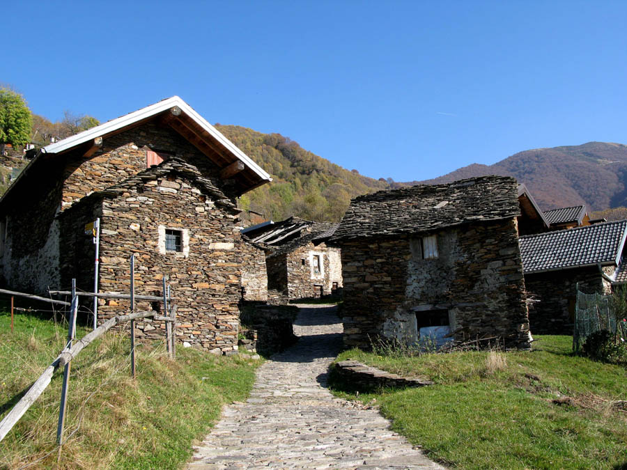 49 Sarona