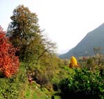 53 Herbstfarben im Malcantone
