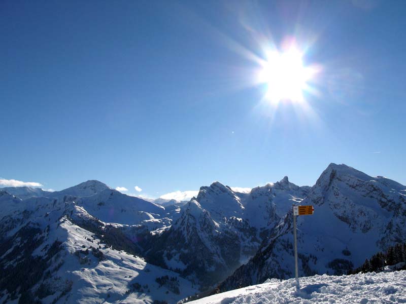 40 Blick vom Meniggrat zum Rauflishorn Rothorn Spillgerten