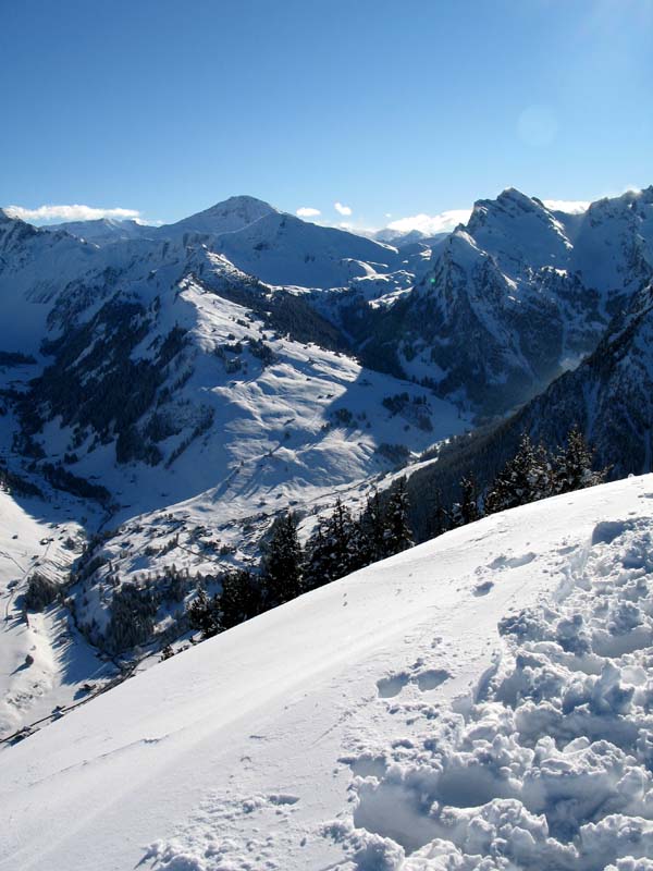 41 Grimmialp Rauflihorn