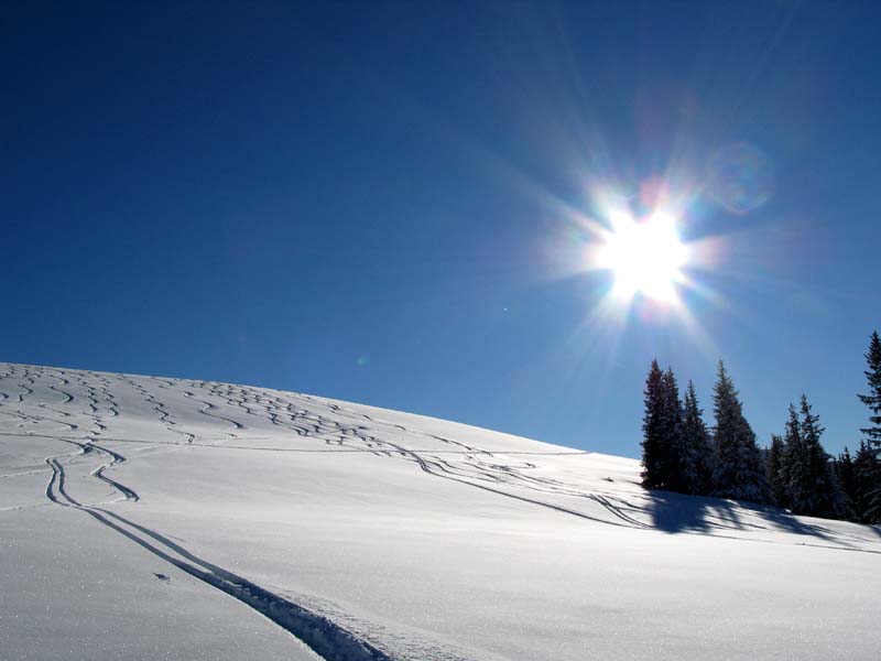 47 Gipelhang vom Meniggrat