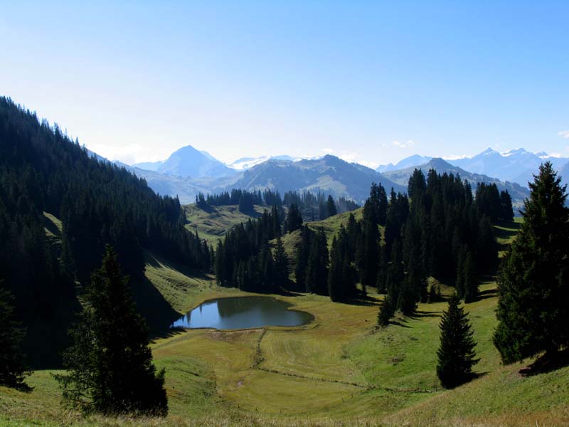 054 Schwarzesee ob Zweisimmen