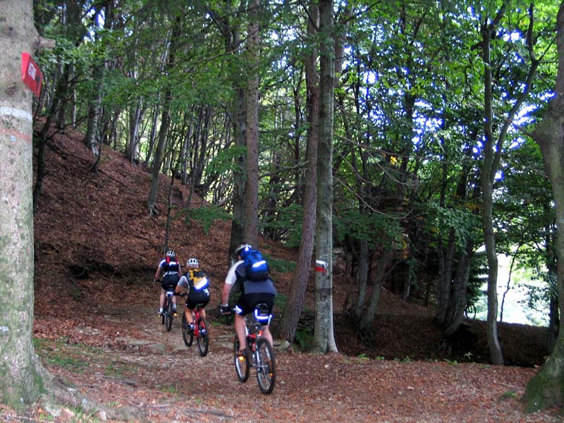 127 Alpe Fontana