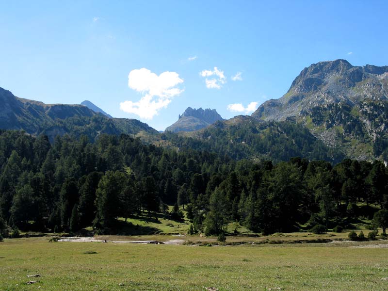167_camperio