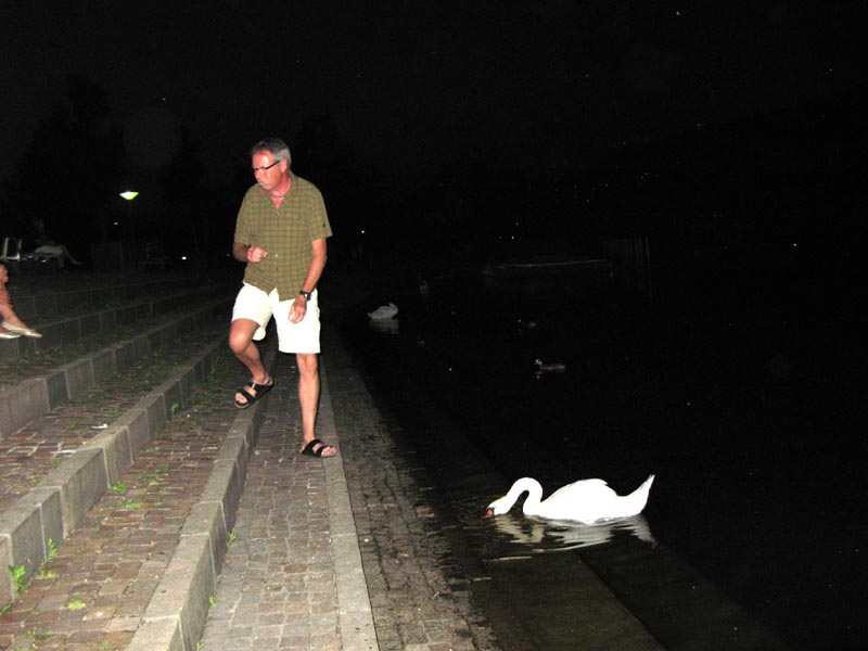 56 Marco beim fuettern