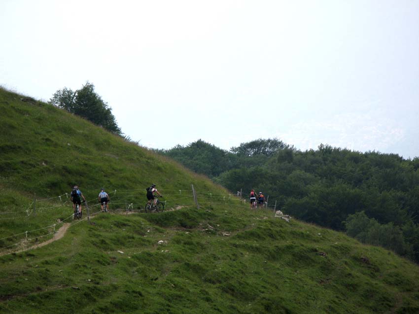 74 auf einem super Trail