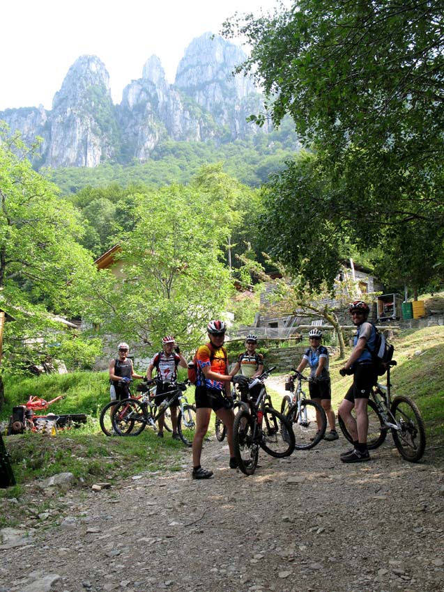 81 im Hintergrund die alten Zaehne