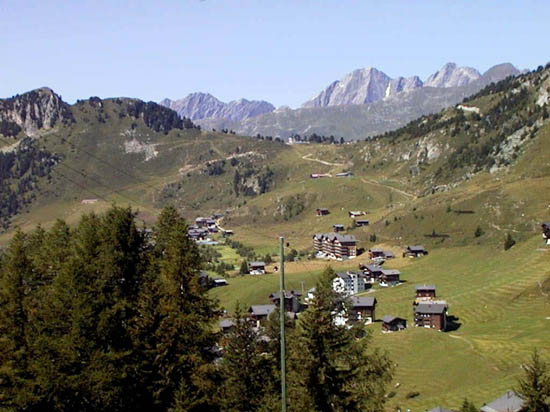 AUT_6845