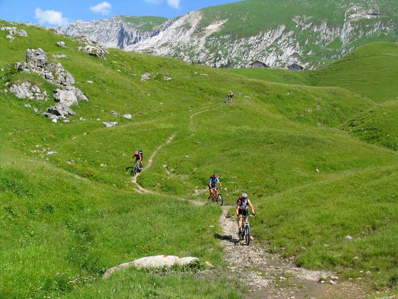 45_Singletrail_vom_feinsten