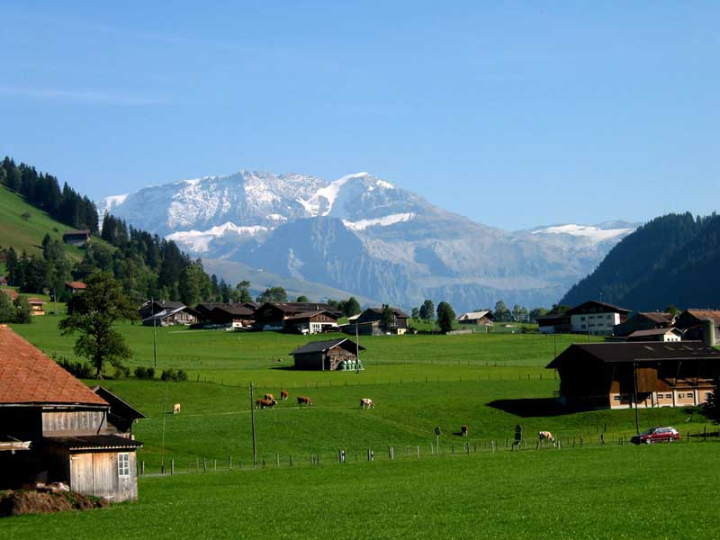47_im_Simmenthal_angekommen