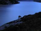 50 als wir den Grimselstausee erreichten