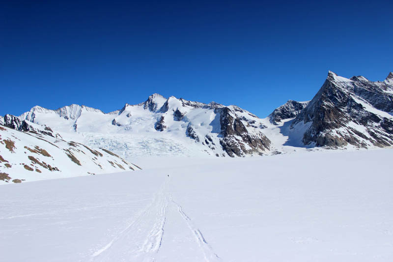 295 Gross- Hinterfiescherhorn und Gross Gruenhorn