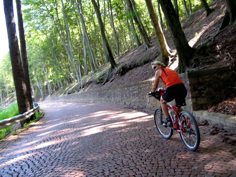 58 die Strasse beim Sanatorium