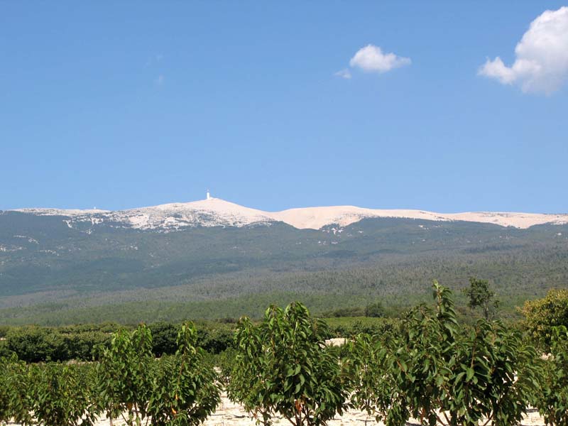 50 Mont Ventoux ab Fasson