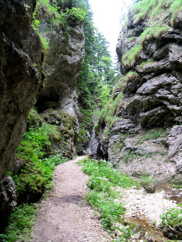 70_schoen_aber