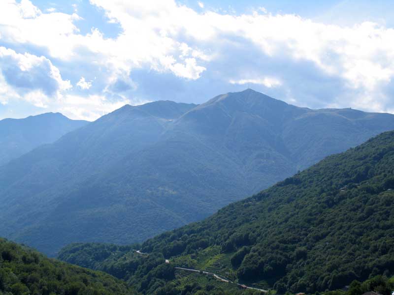 88_Isone_Medeglia_Rivera