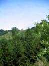 61_im_Aufstieg_von_Buggiolo_nach