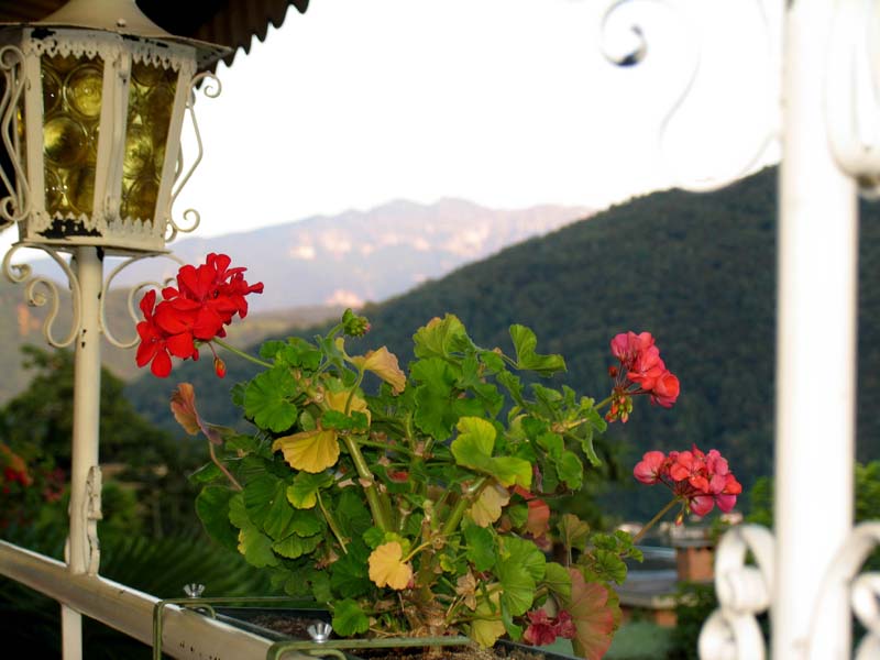 42 im Hintergrund der Monte Generoso