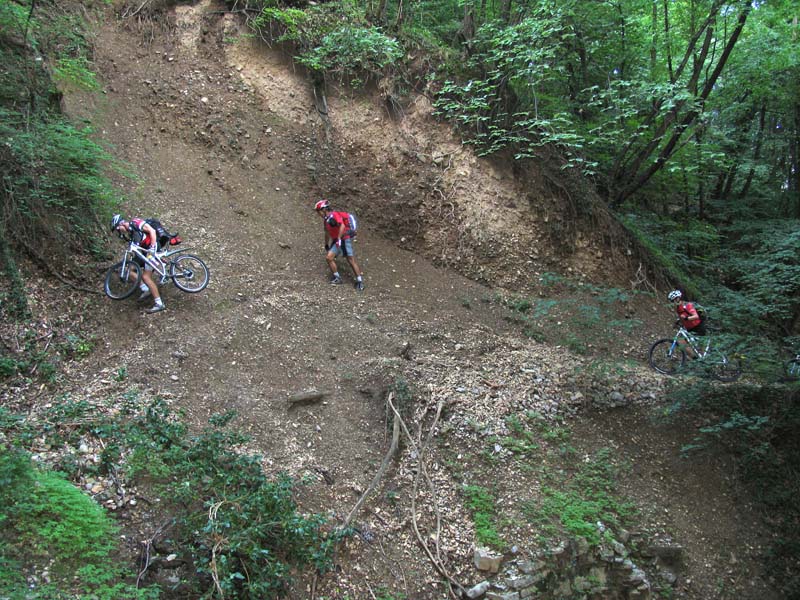 53 Biketransport