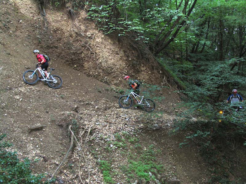 54 wo ist der Trail