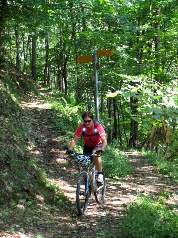 64 zum Monte Generoso