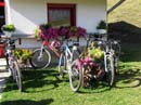 51_Blumenparkplatz_fuer_Biker