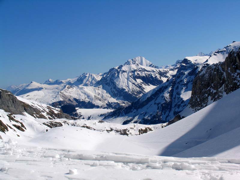 47 Blick von der Wildhornhuette zum Albristhorn