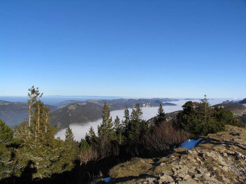 24 und der Nebel gewinnt auch im Thal 