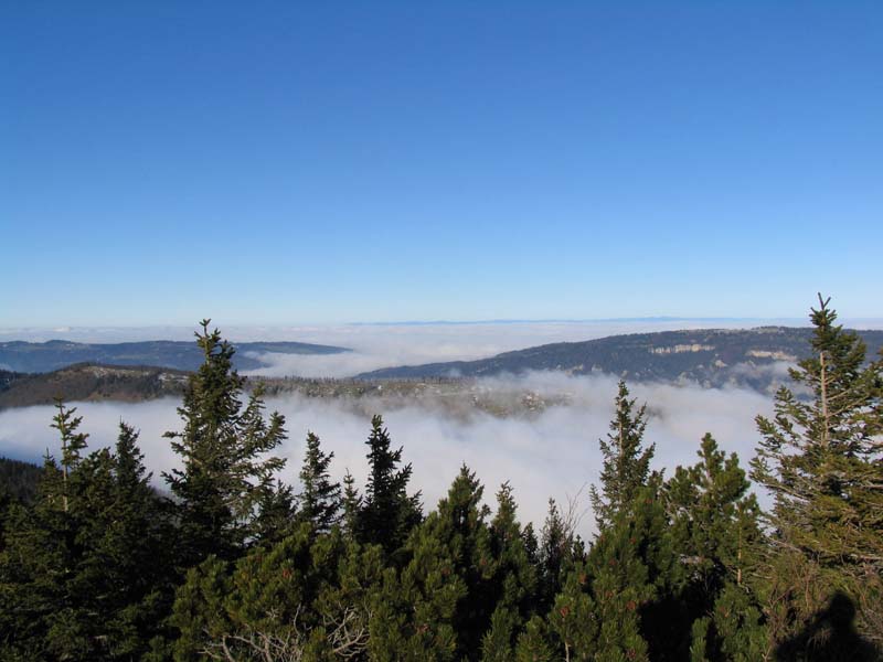25 Oberdoerfer und Backi im Nebel